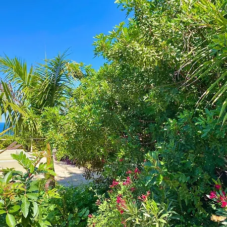 Casa Badana, Exclusiva Casa Privada Con Piscina Y Vistas Al Mar Дом отдыха Ля Оротава